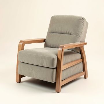 Lofton 46 '' Wide Power Lift Assist Standard Recliner (synthetic illustration; no displayed measurements)