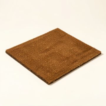 Hi Bye 29 In . X 17 In . Non-Slip Outdoor Door Mat (synthetic illustration; no displayed measurements)