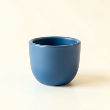 Field Branch Empty Candle Holder - Blue (synthetic illustration; no displayed measurements)