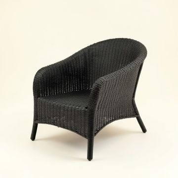 Briar Arc Outdoor Lounge Chair (synthetic illustration; no displayed measurements)