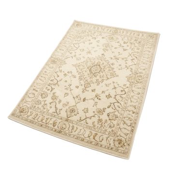 Norcross Ivory Branch Oriental Area Rug