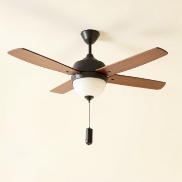 42 '' Alayna 4 - Blade Ceiling Fan With Pull Chain And Light Kit Included (synthetic illustration; no displayed measurements)