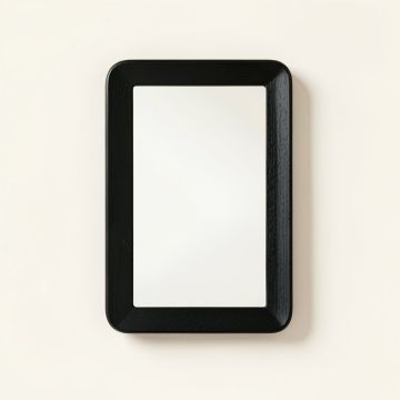 Alder Arc Framed Wall Mirror (synthetic illustration; no displayed measurements)