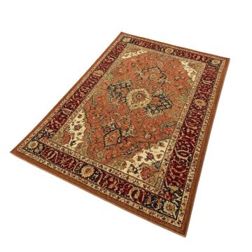 Selkirk Oriental Multi-Colored Area Rug