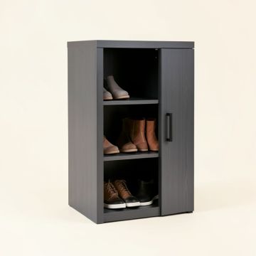 Entryway 15 Pair Shoe Storage Cabinet (synthetic illustration; no displayed measurements)
