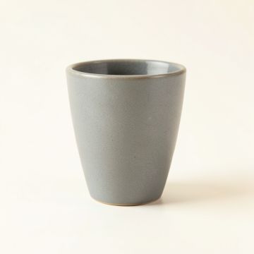 Fern Brook Ceramic Mug - Gray (synthetic illustration; no displayed measurements)