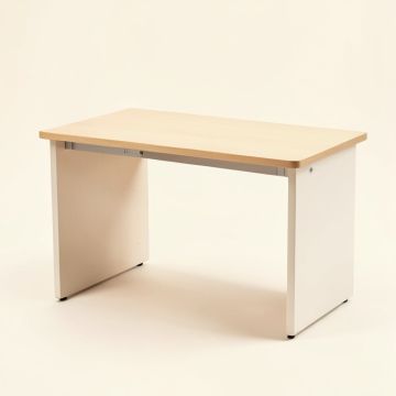 Lassen 52 '' W Kids Study Computer Desk (synthetic illustration; no displayed measurements)
