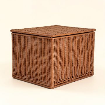 Seattle 296 Gallon Wicker Deck Box (synthetic illustration; no displayed measurements)