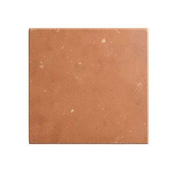 Birch Branch Uninstalled Square Decorative Tile - Terracotta