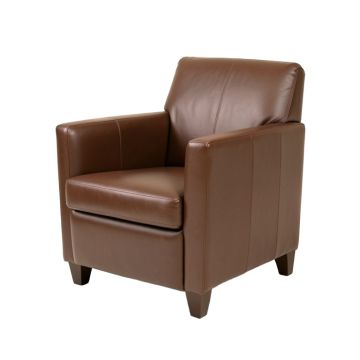 Ceballos Upholstered Arm Chair In Brown