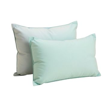Coral Lagoon Indoor/Outdoor , Removable Cover Pillow , Large & 1 Lumbar Pillow
