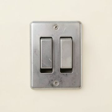 Two Raccoons 2-Gang Toggle Light Switch Wall Plate (synthetic illustration; no displayed measurements)
