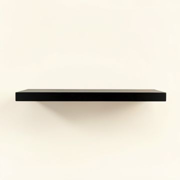 Sage Branch Wall-Mounted Shelf - Black (synthetic illustration; no displayed measurements)