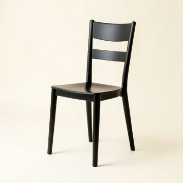 Holly Field Dining Chair - Black (synthetic illustration; no displayed measurements)