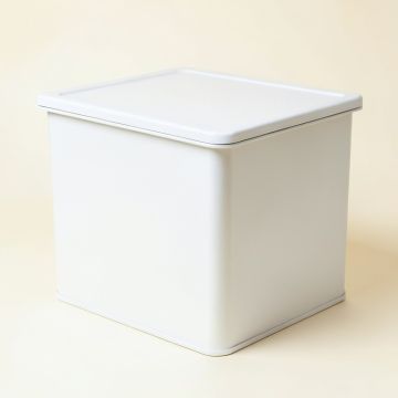 Aspen Branch Closed Outdoor Storage Box - White (synthetic illustration; no displayed measurements)