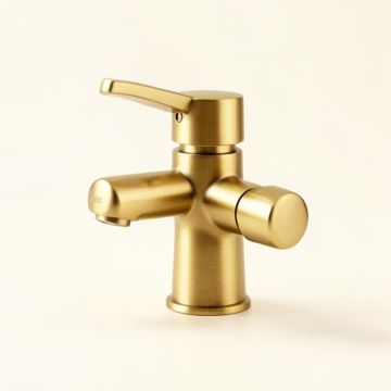 F6003 Elisa Single Hole Bathroom Faucet (synthetic illustration; no displayed measurements)