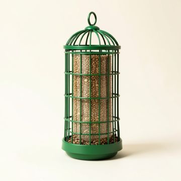Squngee Deluxe Squirrel Feeder (synthetic illustration; no displayed measurements)