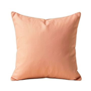 Aanya 100 % Cotton Throw Pillow