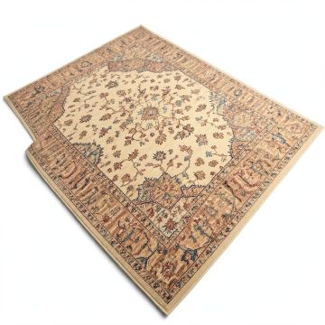 Hillsby Oriental Multicolor Area Rug (synthetic illustration; no displayed measurements)