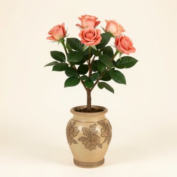 Rose Plant In Decorative Vase (synthetic illustration; no displayed measurements)