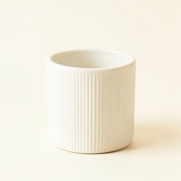 Lake Branch Empty Candle Holder - White (synthetic illustration; no displayed measurements)