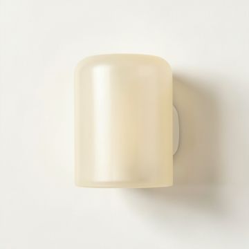 Moss Canyon Wall Sconce Mounted On A Plain Wall - Ivory (synthetic illustration; no displayed measurements)