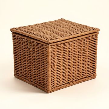 Adelita Wicker Deck Box (synthetic illustration; no displayed measurements)