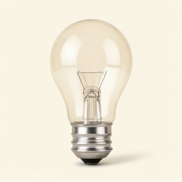 60 Watt , St64 Incandescent , Dimmable Light Bulb , Warm White E26/Medium ( Standard ) Base (synthetic illustration; no displayed measurements)