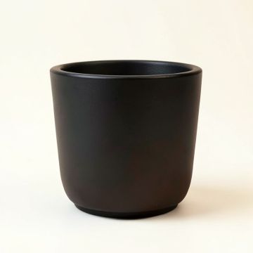 Buckman Basket Rail Planter (synthetic illustration; no displayed measurements)