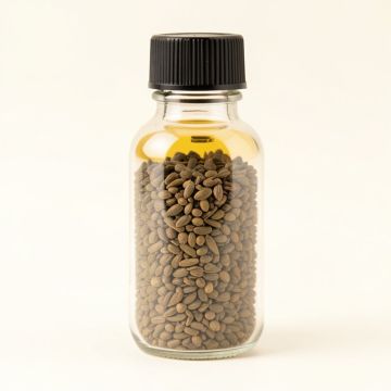Celery Seed Certified Essential Oil (synthetic illustration; no displayed measurements)