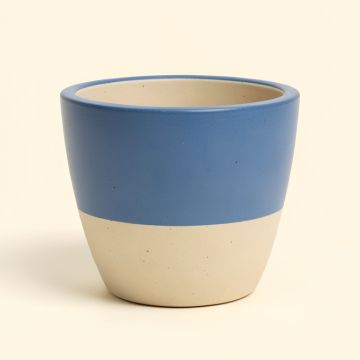 Resin Pot Planter (synthetic illustration; no displayed measurements)