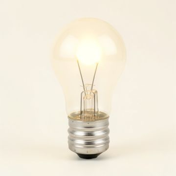 60 Watt , T10 Incandescent , Dimmable Light Bulb , Warm White ( 2700K ) E26/Medium ( Standard ) Base (synthetic illustration; no displayed measurements)