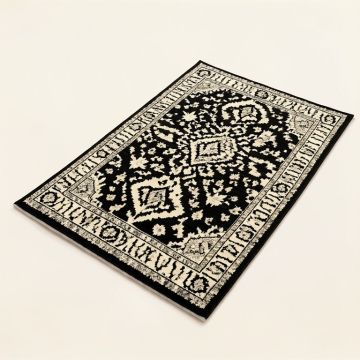 Burford Bohemian Ikat Black / Ivory Area Rug (synthetic illustration; no displayed measurements)