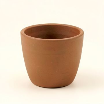 Shanitaortia Cachepot (synthetic illustration; no displayed measurements)
