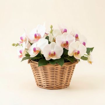 Artificial Orchids Floral Arrangements In Basket (synthetic illustration; no displayed measurements)