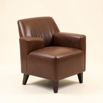 Irving Upholstered Side Chair In Brown (synthetic illustration; no displayed measurements)
