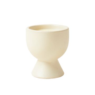 Moss Bend Empty Candle Holder - Ivory