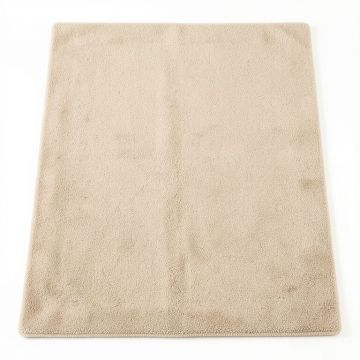 Bronte Southwestern Hand Hooked Wool Beige Area Rug (synthetic illustration; no displayed measurements)