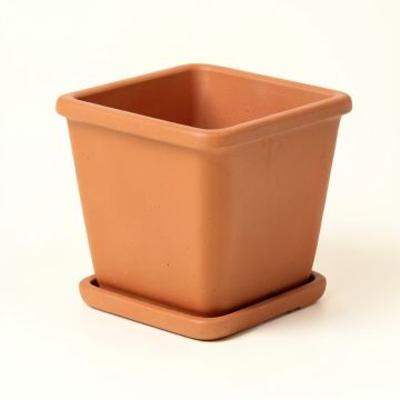 Aspen Dell Empty Planter - Terracotta (synthetic illustration; no displayed measurements)