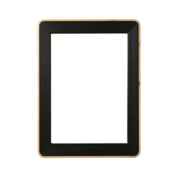 Moss Branch Framed Wall Mirror - Black