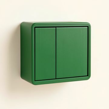 Flint Branch Wall-Mounted Entry Cabinet - Green (synthetic illustration; no displayed measurements)