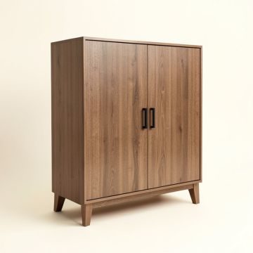 Xander 2 Door Accent Cabinet (synthetic illustration; no displayed measurements)