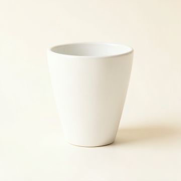 Alder Canyon Empty Planter - White (synthetic illustration; no displayed measurements)