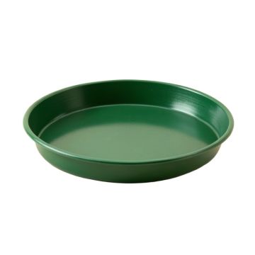 Summit Brook Serving Tray - Green (synthetic illustration; no displayed measurements)
