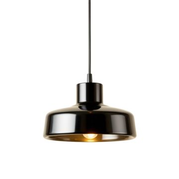 Fern Bluff Pendant Light Suspended From One Plain Cable - Black