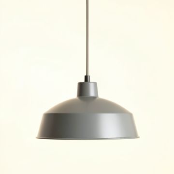 Flint Crossing Pendant Light Suspended From One Plain Cable - Gray (synthetic illustration; no displayed measurements)