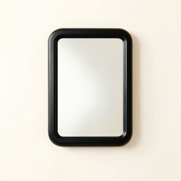 Juniper Brook Framed Wall Mirror - Black (synthetic illustration; no displayed measurements)