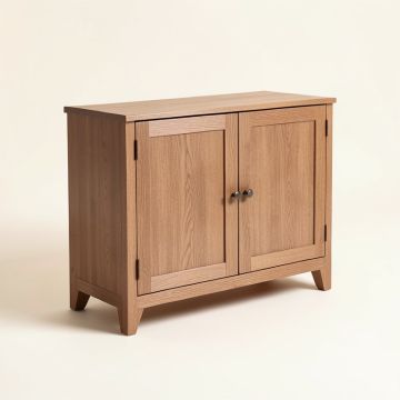 Ione 2 Door Accent Cabinet (synthetic illustration; no displayed measurements)