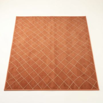 Shore Canyon Rectangular Area Rug - Terracotta (synthetic illustration; no displayed measurements)