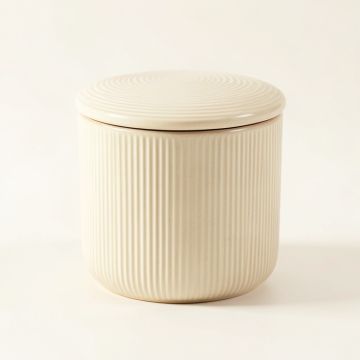 Elm Brook Storage Canister With Lid - Cream (synthetic illustration; no displayed measurements)